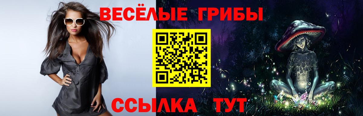 Галлюциногенные грибы GOLDEN TEACHER  Псилоцибиновые грибы Psilocybine cubensis  Магнитогорск  Вход с VPN 